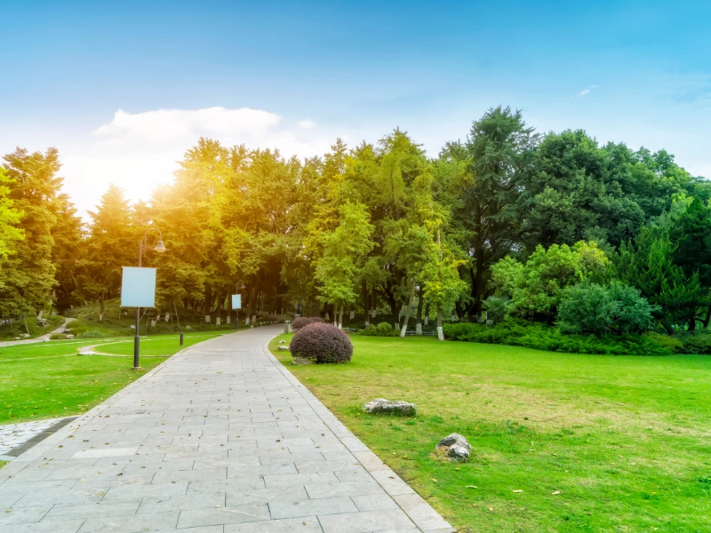 aménagement extérieur en Vienne