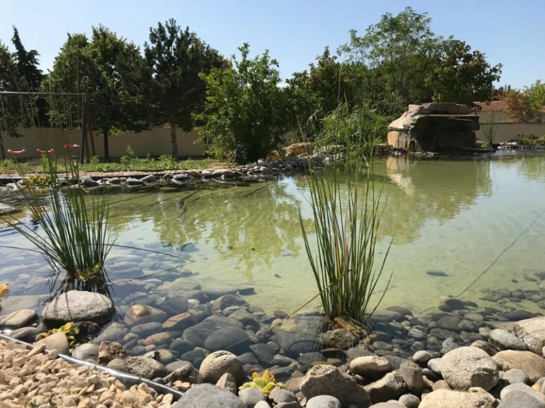 aménagement extérieur à Poitiers