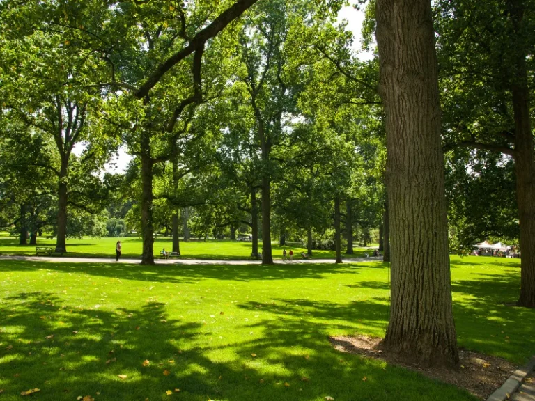 paysagiste dans le 86