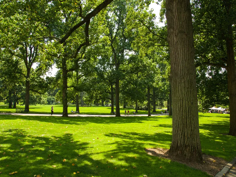 aménagement extérieur à Poitiers