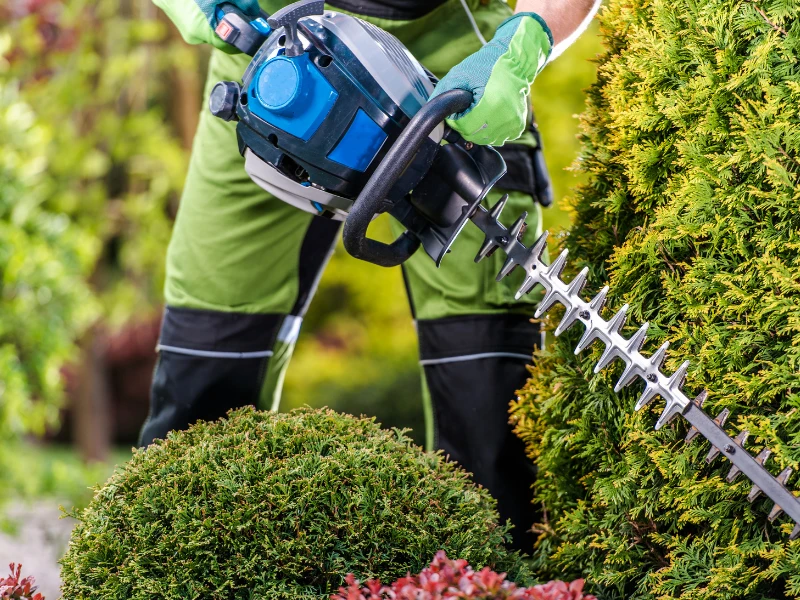 aménagement extérieur en Vienne