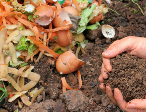 Parcs & jardins : comment créer un compost lombricomposté soi- même ?