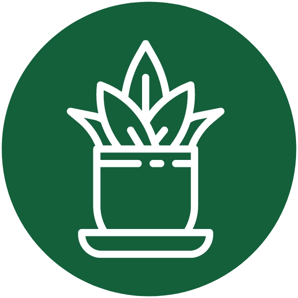 service d’arrosage en Vienne