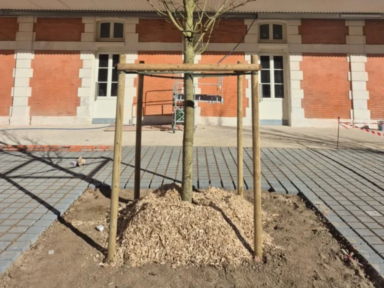 aménagement extérieur en Vienne