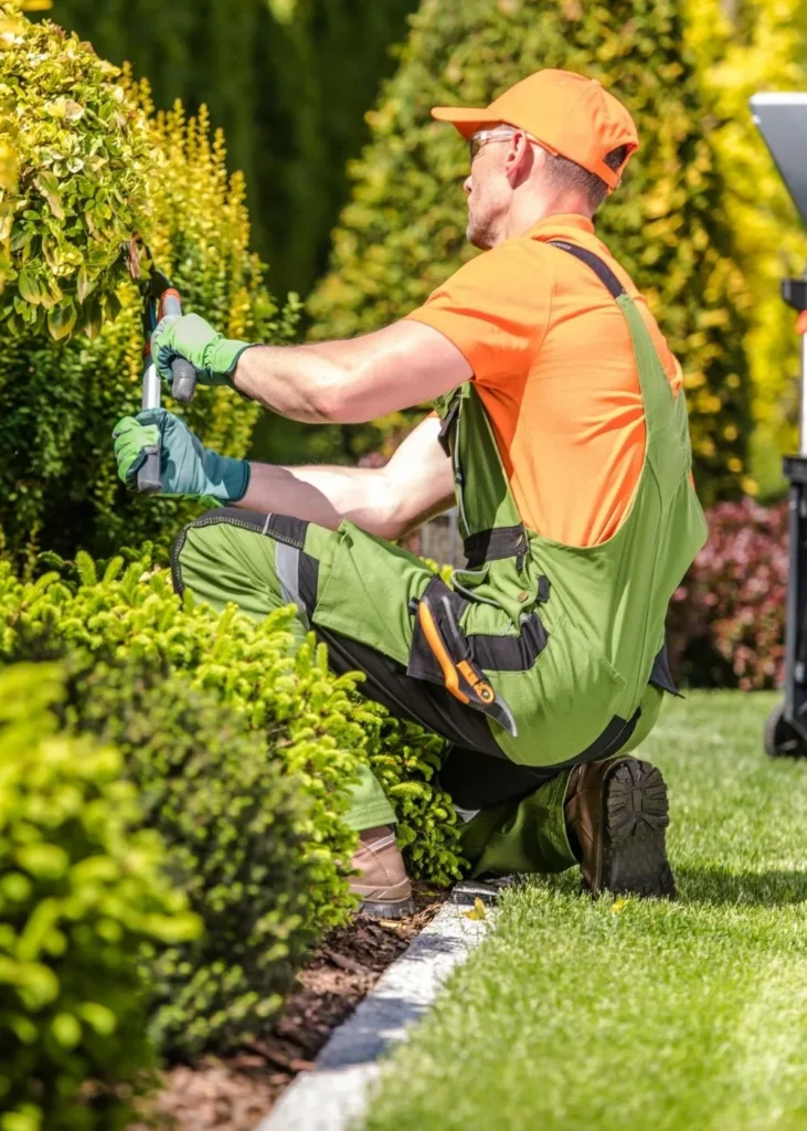 paysagiste dans le 86