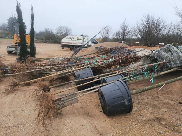 paysagiste en Vienne